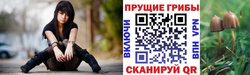 Псилоцибиновые грибы мицелий  Купить где  Онега 